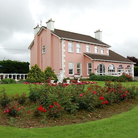 Ballingowan House Newcastle West Dış mekan fotoğraf