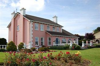 Ballingowan House Newcastle West Dış mekan fotoğraf