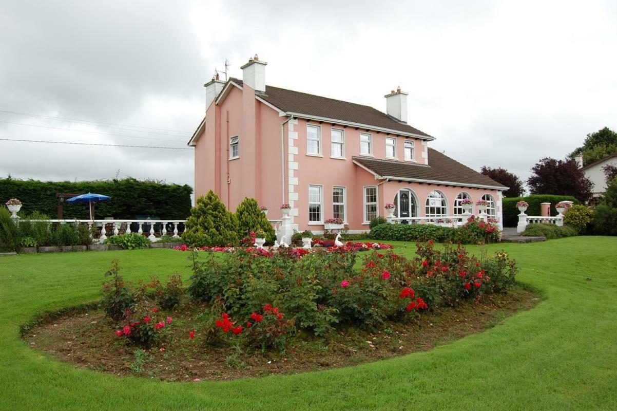 Ballingowan House Newcastle West Dış mekan fotoğraf